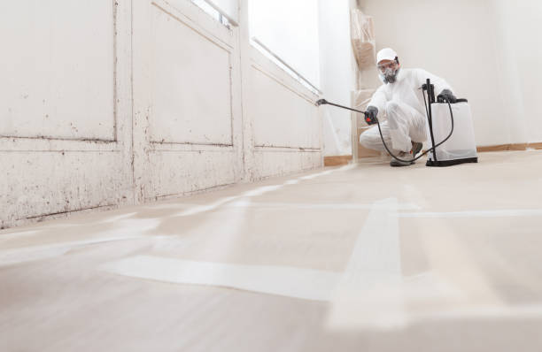 24/7 Emergency Mold Removal experts in Kingston, WA